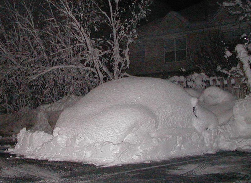 New Beetle under Snow