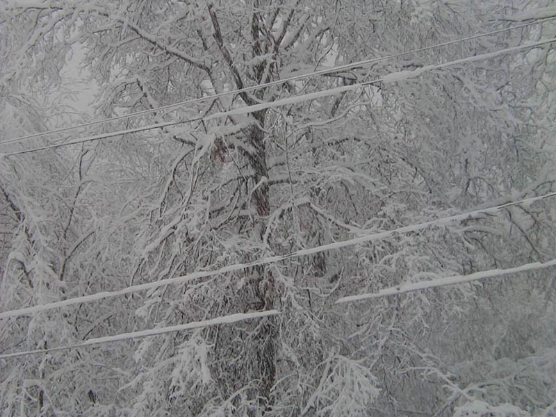 Winter Storm, Evening