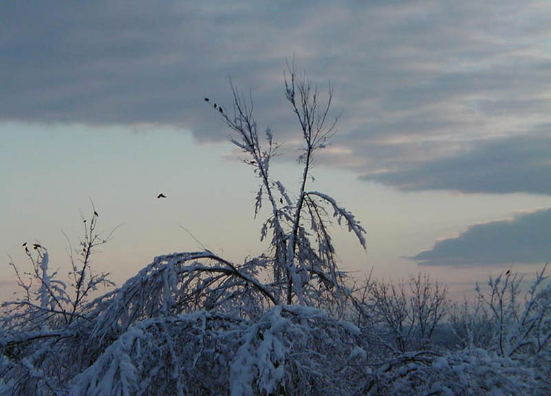 Sunrise After Snowstorm (4)