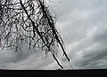 Power Lines and Clouds