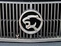 Grille of the Cougar