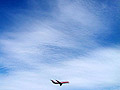 Plane and Sky