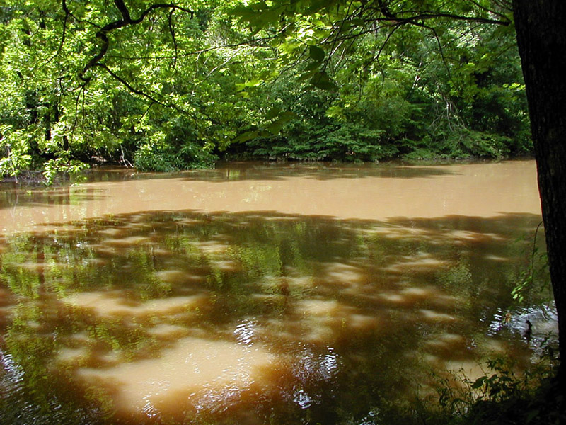 Mocha Waters and Shadow