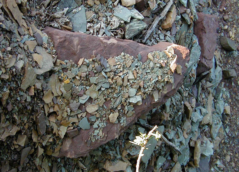 Stones in the Morning Sun