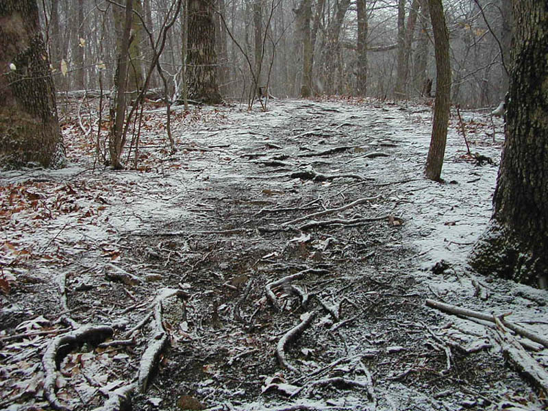 Frosted Path