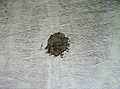 Wall with a Blotch