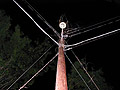 Night Pole