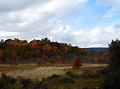 Autumn Field